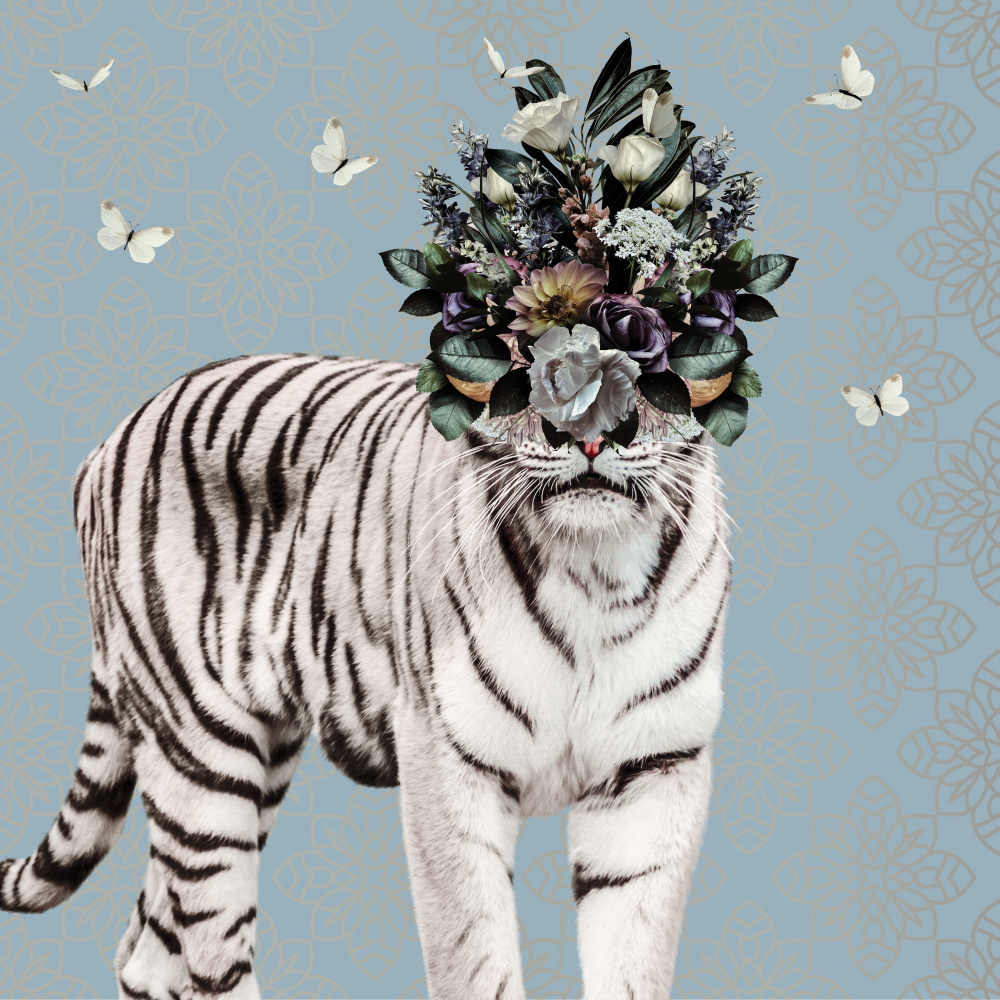 Spring Flower Bonnet On White Tiger à Sue Skellern
