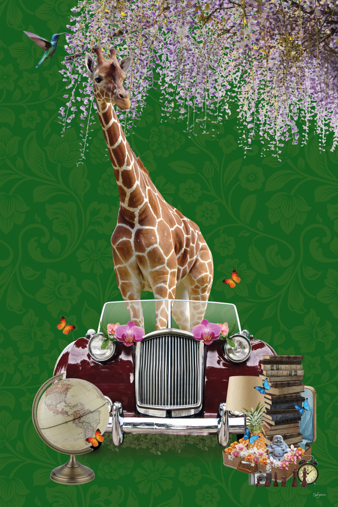 Giraffe will Travel à Sue Skellern