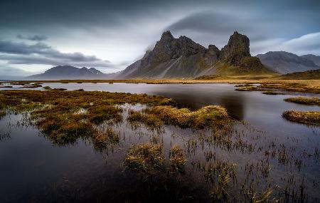 Eystrahorn