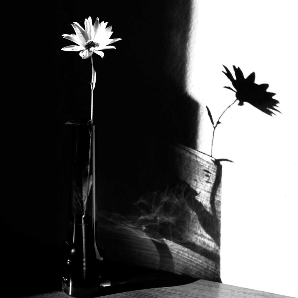 light and shadow à Susanne Wolf