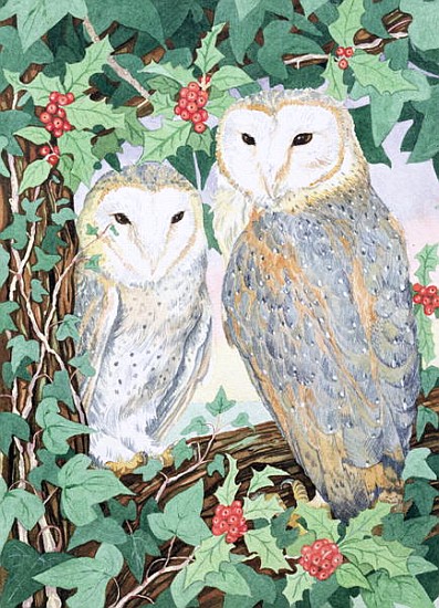 Barn Owls  à Suzanne  Bailey