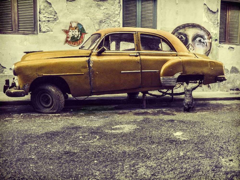 Old car/cat à Svetlin Yosifov