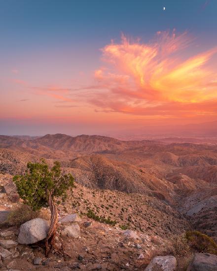 Desert Sunset