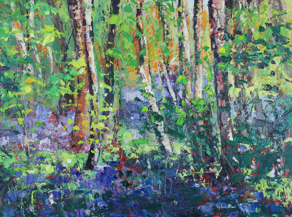 Bluebells and Dancing Leaves à Sylvia  Paul