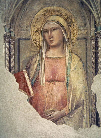 Madonna del Parto à Taddeo Gaddi
