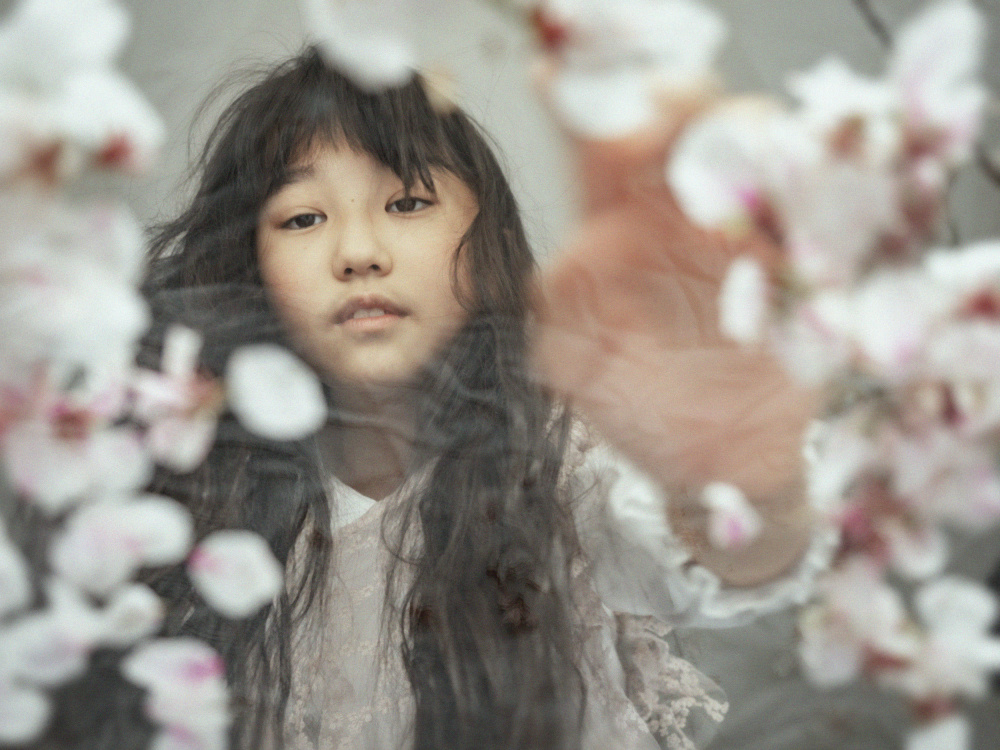 SAKURA ～Cherry blossoms～ à Takako Ugachi