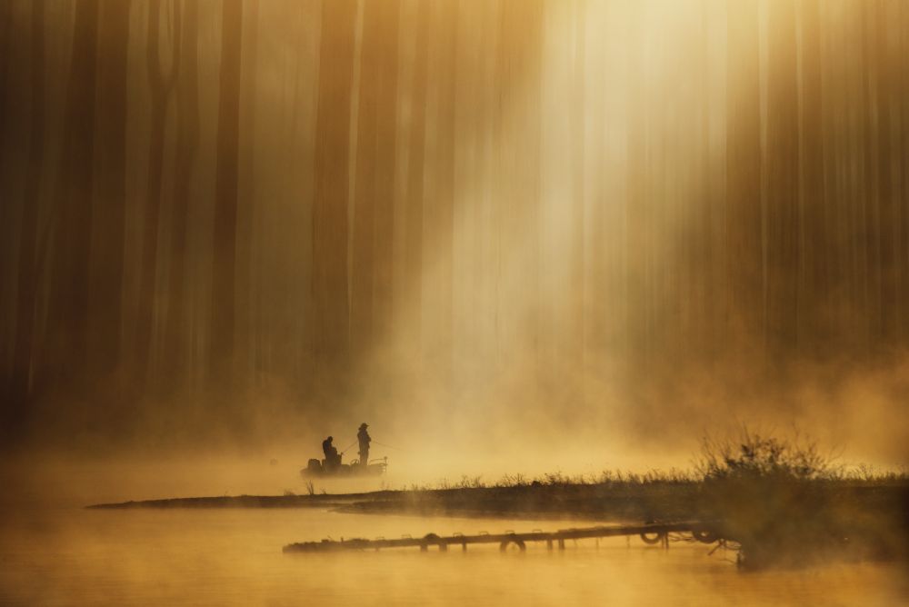 Golden silence à Takashi Suzuki