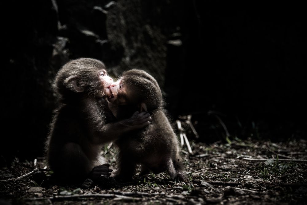 a little love story à Takeshi Marumoto