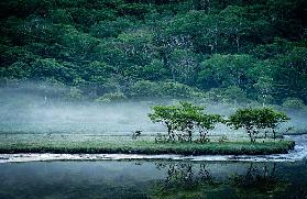 Kakumanbuchi Marsh