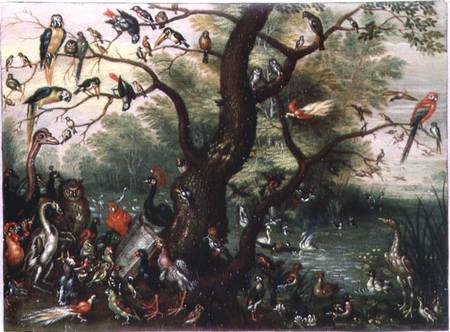 Concert of Birds à l'Ancien Kessel