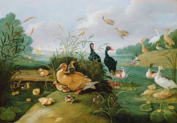 Decorative fowl and ducklings à l'Ancien Kessel