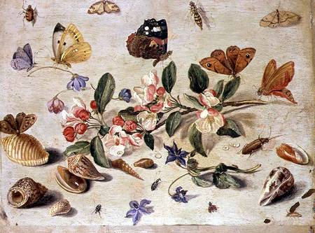 A Study of Flowers and Insects à l'Ancien Kessel