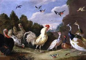 Wooded Landscape with a Cock, Turkey, Hens and other Birds