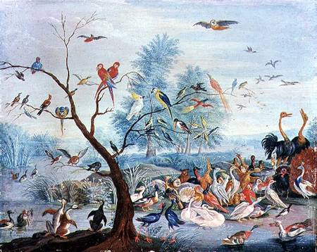 Tropical birds in a landscape à l'Ancien Kessel