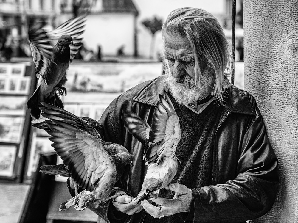 Birdman à Theo Hoofwijk