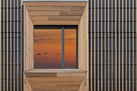 Window in wood