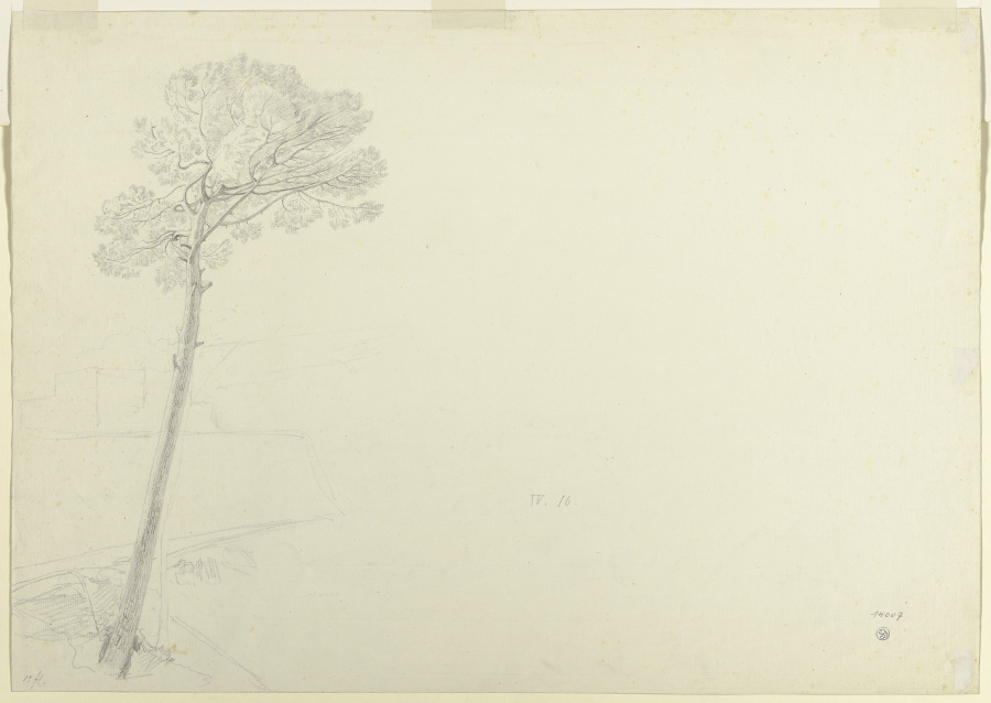 Baum in einer Landschaft à Theodor Pelissier