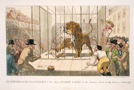 The Fight between the Lion Wallace and the Dogs Tinker and Ball in the Factory Yard in the Town of W à Theodore Lane
