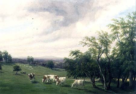 Cattle Grazing in Parkland à Thomas Baker