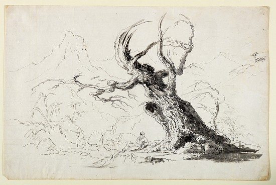 Large Gnarled Tree with Bearded Man Seated Below à Thomas Cole