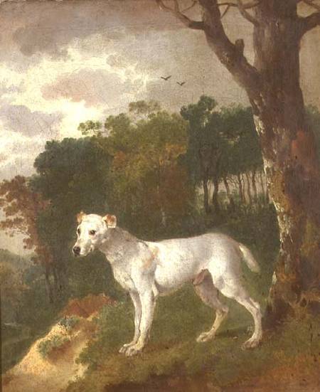 "Bumper", a Bull Terrier à Thomas Gainsborough