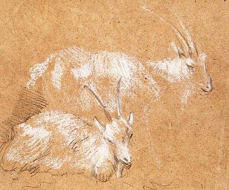 Study of Goats à Thomas Gainsborough