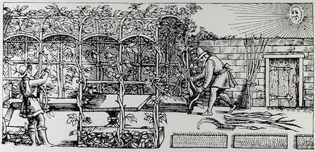 Arbour being built as a shade against the sun, from 'The Gardener's Labyrinth' à Thomas Hill