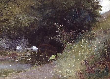 Swans on a Lake à Thomas Mackay