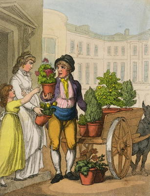 Cries of London: The Garden Pot Seller, 1799 (colour aquatint) à Thomas Rowlandson