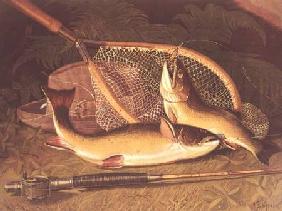 Still Life with a Salmon Trout, a Rod and a Net