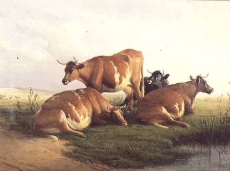 Cattle in a Landscape à Thomas Sidney Cooper