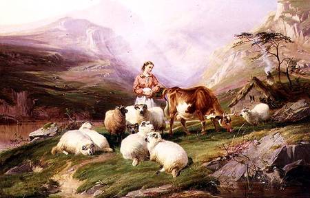 Cow and Sheep on a Mountain Pasture à Thomas Sidney Cooper