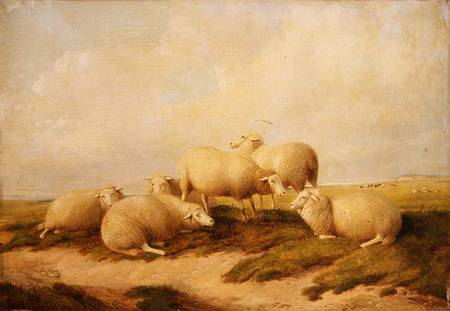 Sheep à Thomas Sidney Cooper