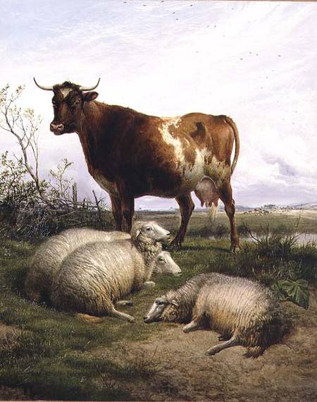 Sheep and a Cow Grazing à Thomas Sidney Cooper