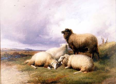 Sheep in a Landscape à Thomas Sidney Cooper