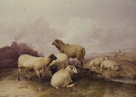 Sheep in a Landscape à Thomas Sidney Cooper