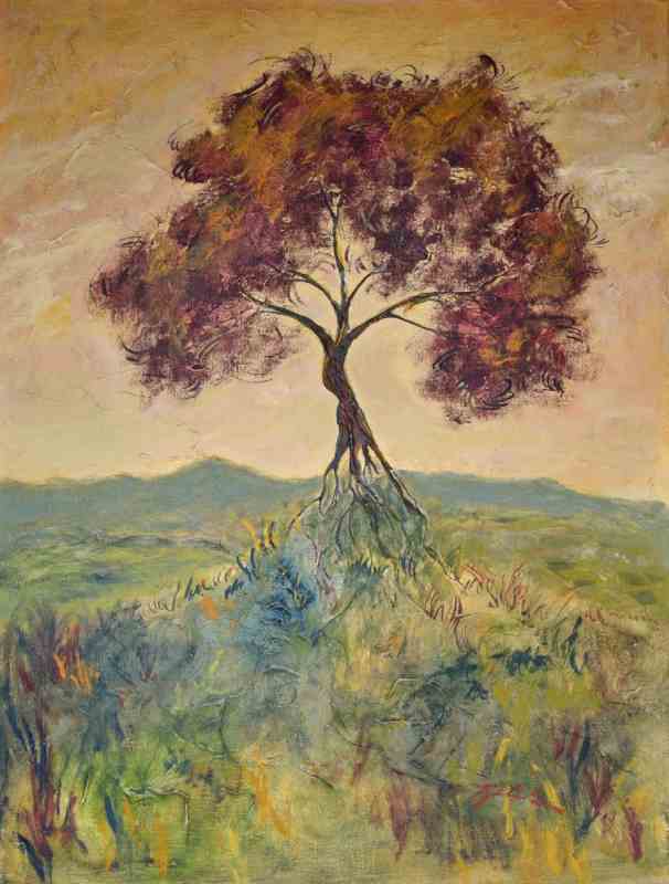 Baum in Landschaft 2902 à Thomas Steinmetz
