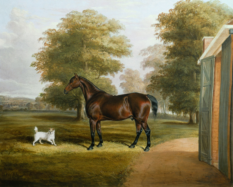 A Bay Horse with a Terrier à Thomas W. Bretland