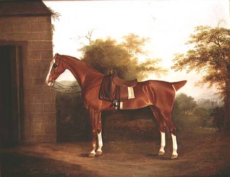 Horse with side saddle à Thomas Weaver