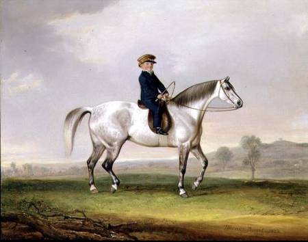 Master Edward Humphries on his Grey Pony à Thomas Weaver