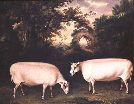 Two Prize Border Leicester Rams in a Landscape à Thomas Weaver