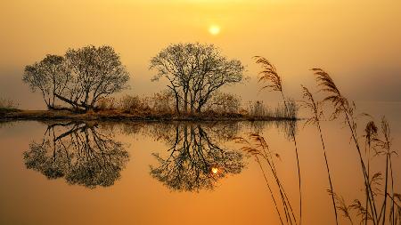 Garden of water