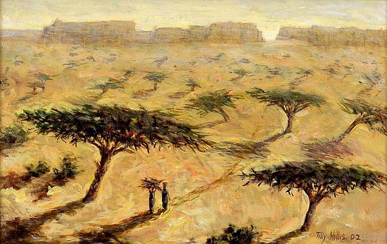 Sahelian Landscape, 2002 (oil on canvas)  à Tilly  Willis