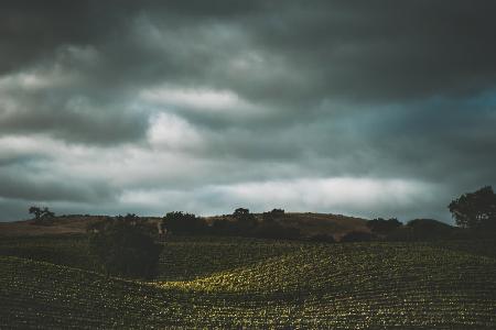 Hillside and Clouds