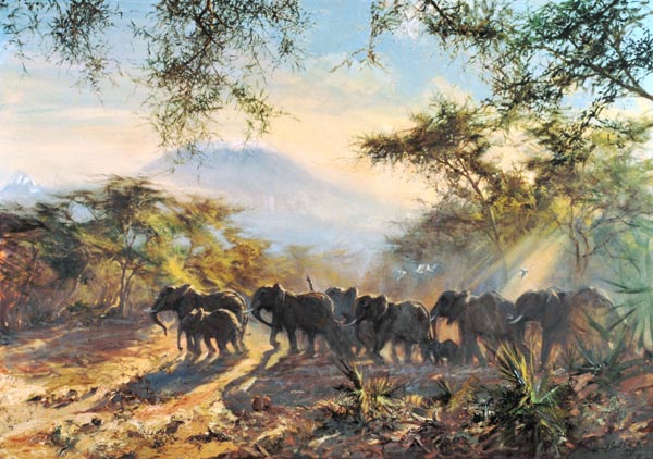 Elephant, Kilimanjaro, 1995 (oil on canvas)  à Tim  Scott Bolton