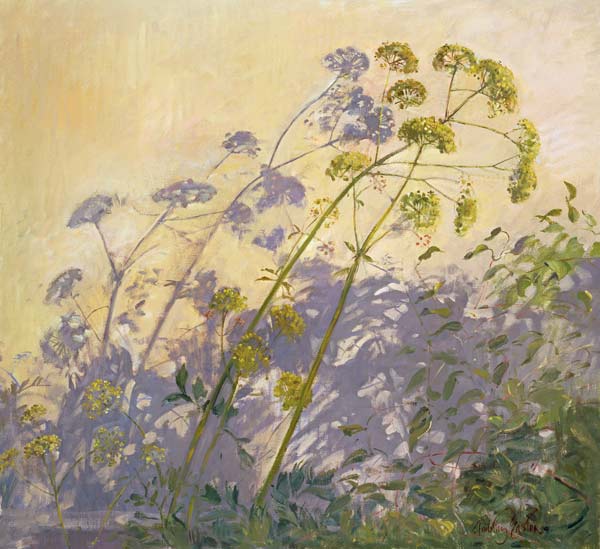 Lovage, Clematis and Shadows, 1999 (oil on canvas)  à Timothy  Easton