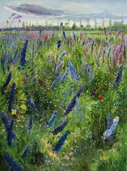 Delphiniums and Emerging Sun, 1991  à Timothy  Easton