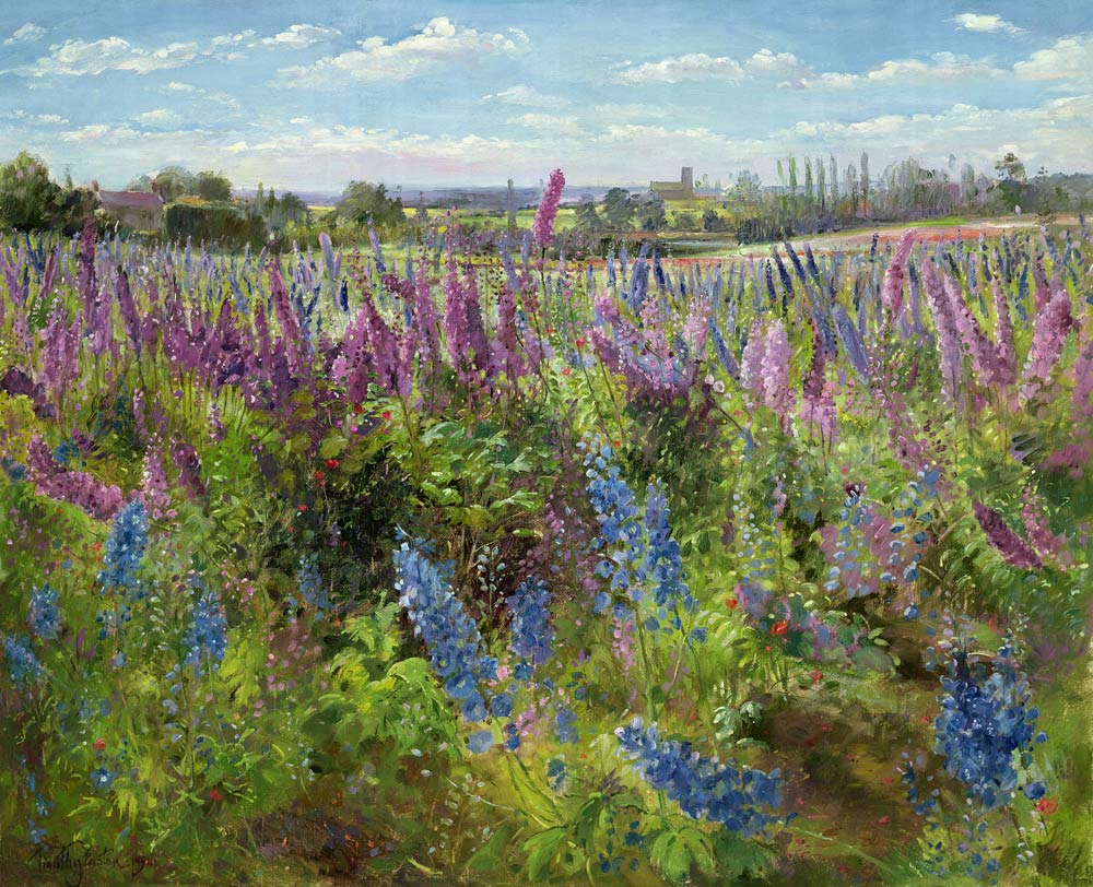 Delphiniums and Poppies, 1991  à Timothy  Easton