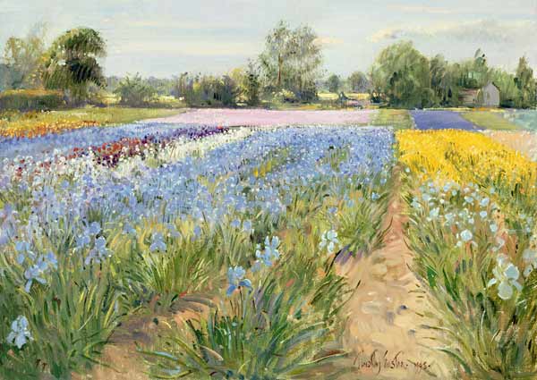 Floral Chessboard, 1995 (oil on canvas)  à Timothy  Easton