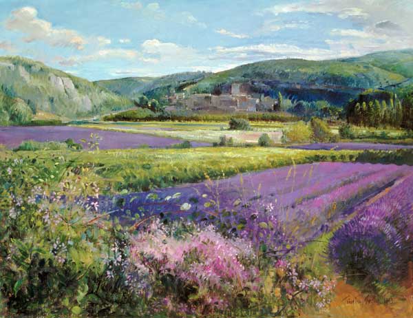 Lavender Fields in Old Provence (oil on canvas)  à Timothy  Easton